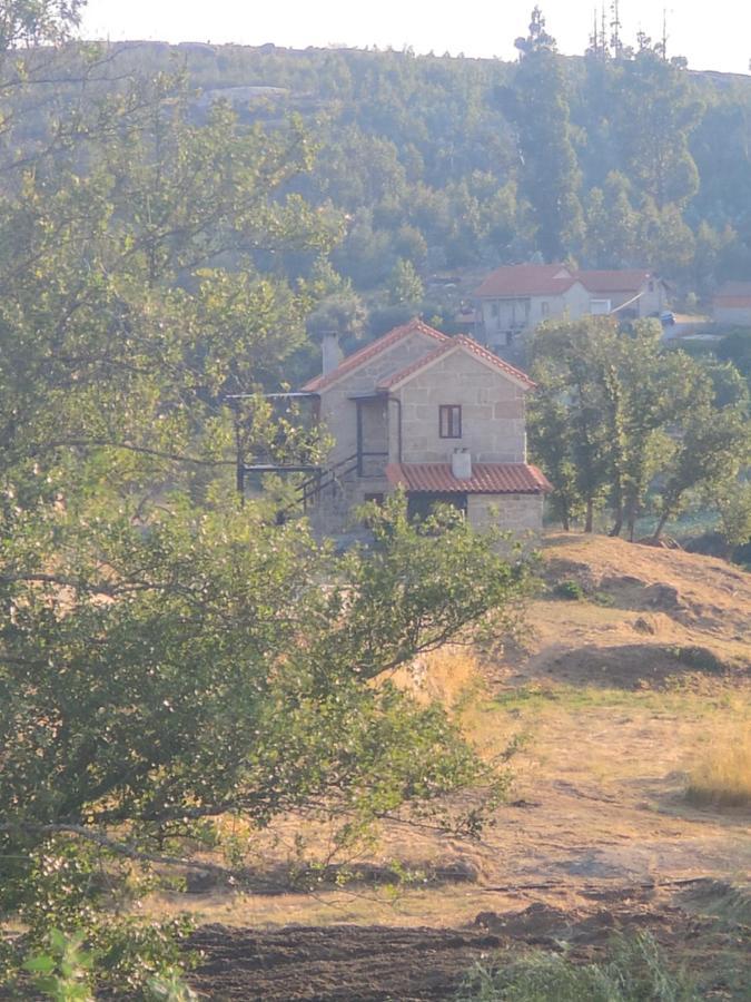 Quinta Da Adarnela Διαμέρισμα Lagares da Beira Εξωτερικό φωτογραφία