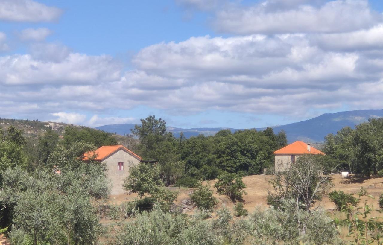 Quinta Da Adarnela Διαμέρισμα Lagares da Beira Εξωτερικό φωτογραφία