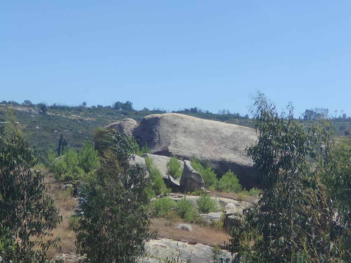 Quinta Da Adarnela Διαμέρισμα Lagares da Beira Εξωτερικό φωτογραφία