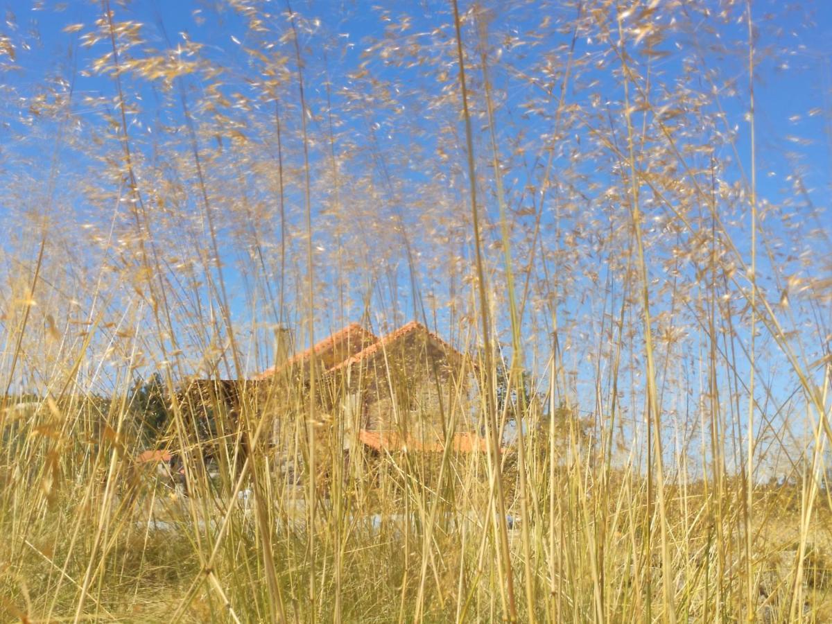 Quinta Da Adarnela Διαμέρισμα Lagares da Beira Εξωτερικό φωτογραφία