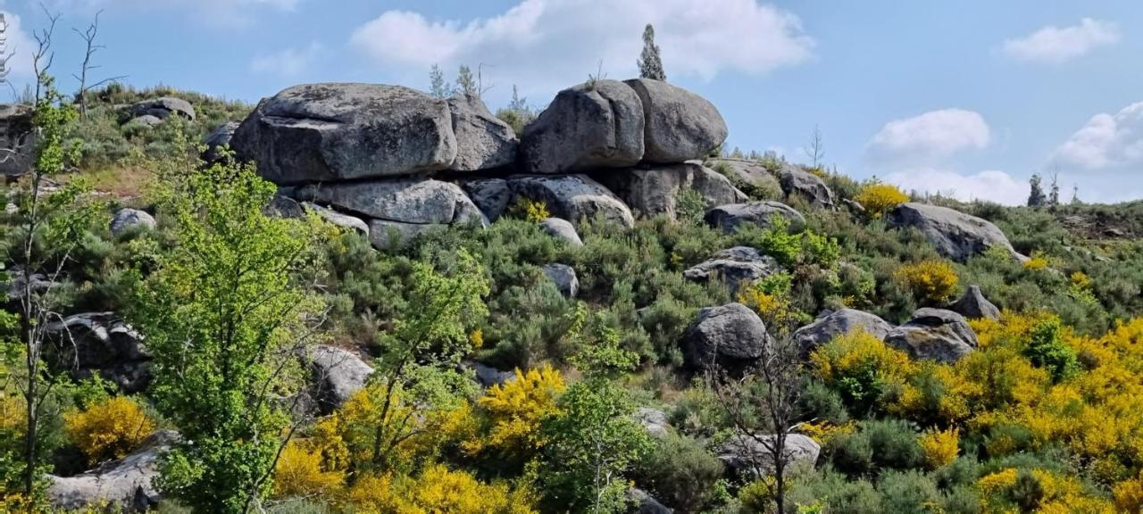 Quinta Da Adarnela Διαμέρισμα Lagares da Beira Εξωτερικό φωτογραφία