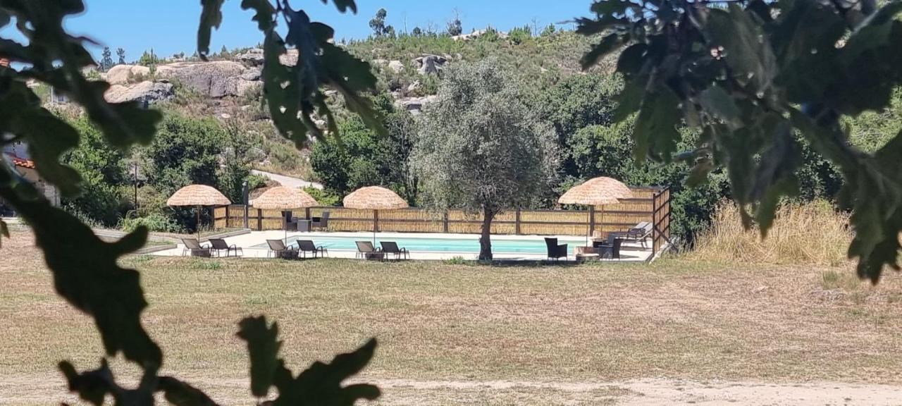 Quinta Da Adarnela Διαμέρισμα Lagares da Beira Εξωτερικό φωτογραφία