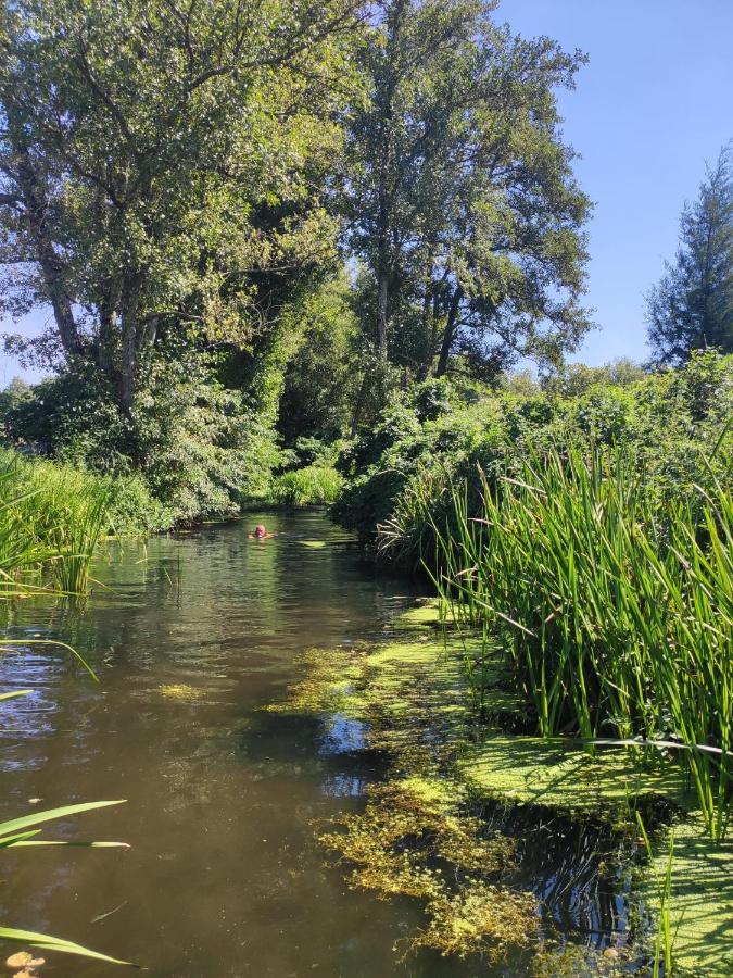 Quinta Da Adarnela Διαμέρισμα Lagares da Beira Εξωτερικό φωτογραφία