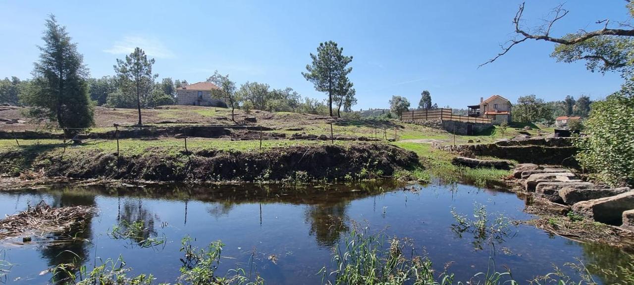 Quinta Da Adarnela Διαμέρισμα Lagares da Beira Εξωτερικό φωτογραφία