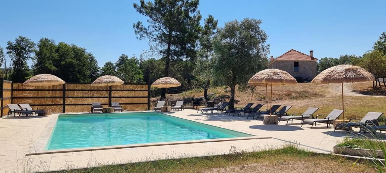 Quinta Da Adarnela Διαμέρισμα Lagares da Beira Εξωτερικό φωτογραφία
