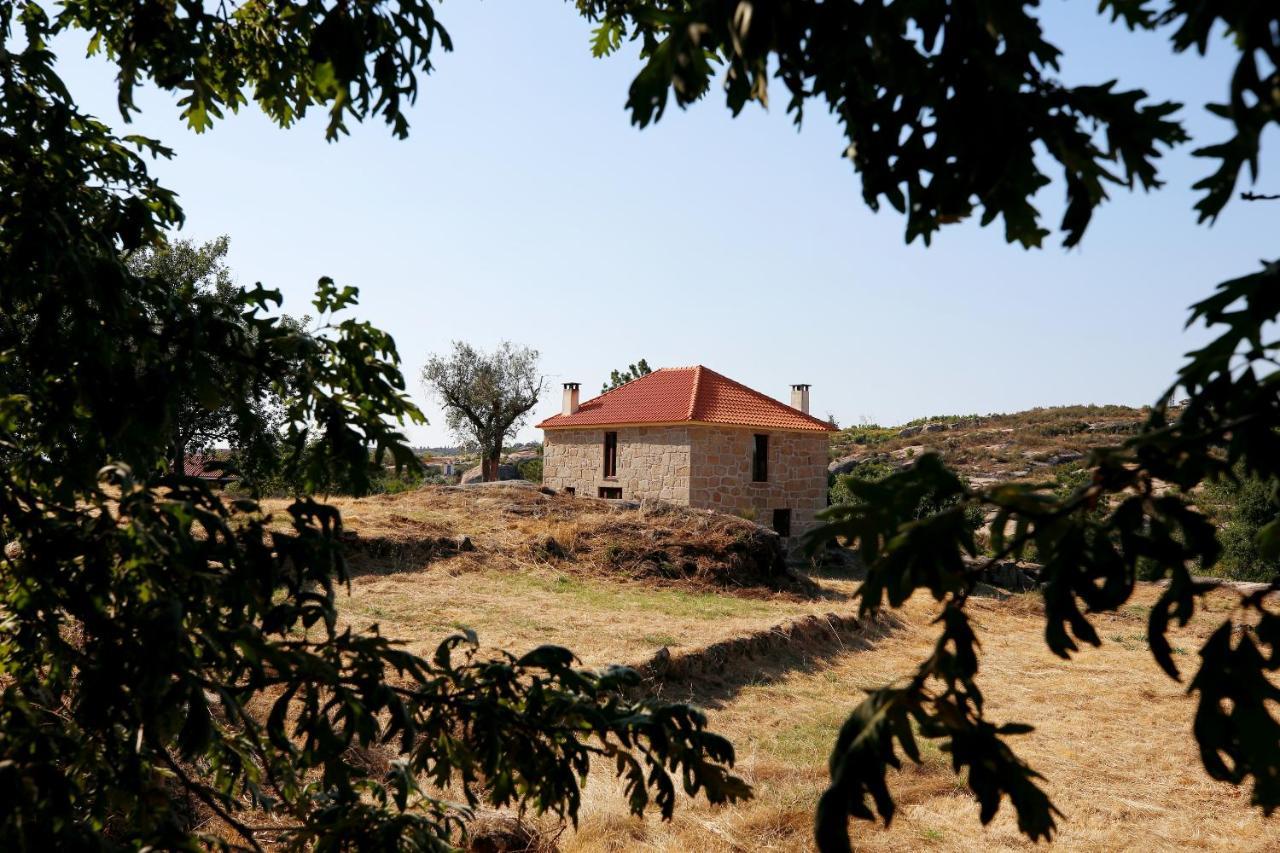 Quinta Da Adarnela Διαμέρισμα Lagares da Beira Εξωτερικό φωτογραφία