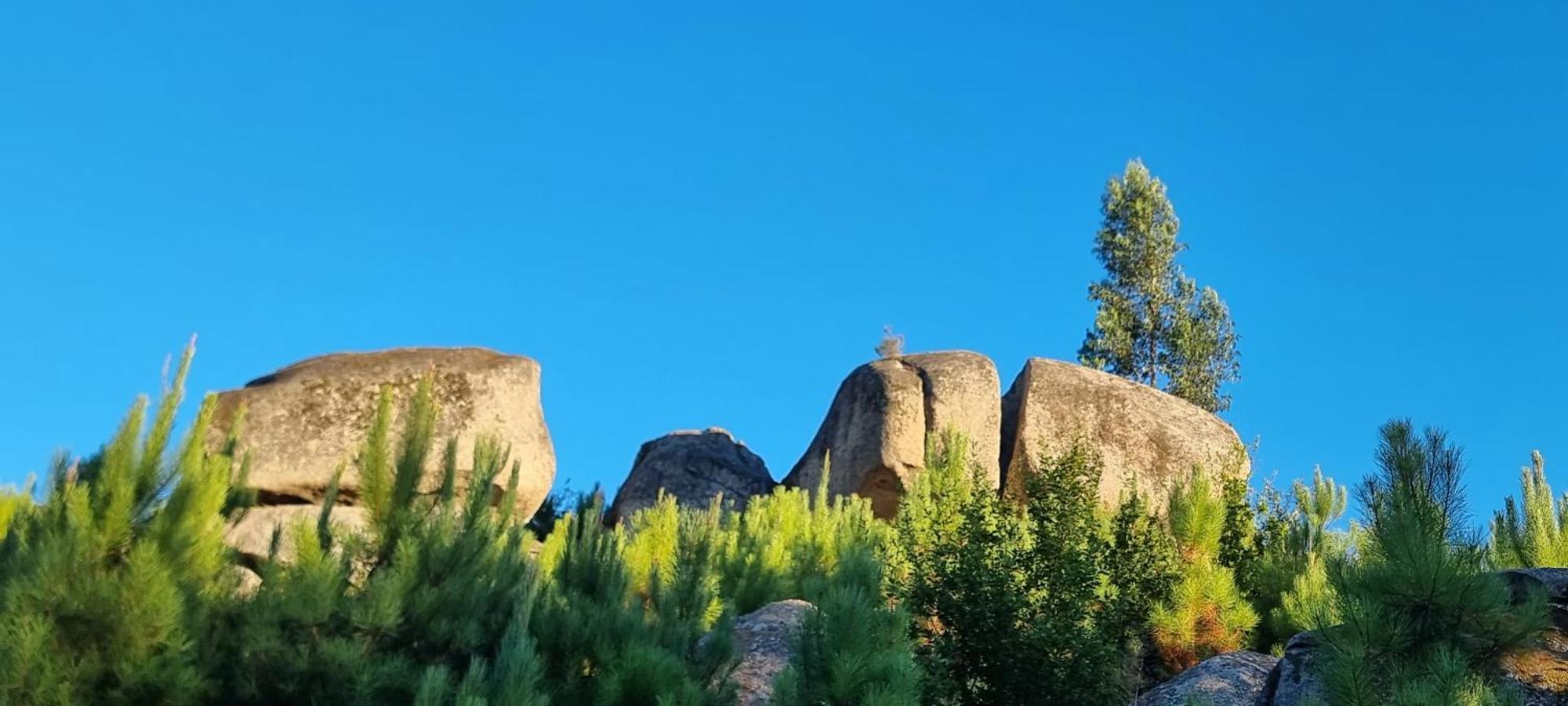 Quinta Da Adarnela Διαμέρισμα Lagares da Beira Εξωτερικό φωτογραφία