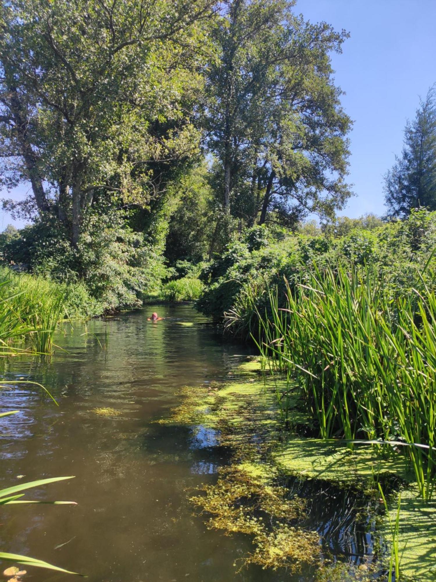 Quinta Da Adarnela Διαμέρισμα Lagares da Beira Εξωτερικό φωτογραφία